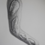 fresh arm  of the day